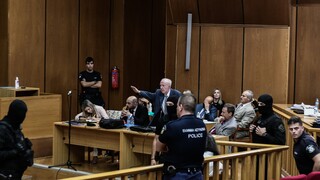 Δίκη Χρυσής Αυγής: Πολιτική καταδίκη για τους επαναλαμβανόμενους ναζιστικούς χαιρετισμούς Πλεύρη