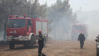 Υπό έλεγχο η φωτιά στο Ρέθυμνο: Στάχτη έγιναν 25 στρέμματα γης