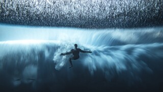 Φωτογραφίζοντας του ωκεανούς: Τα βραβεία του διαγωνισμού Ocean Photographer of the Year