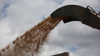ΟΗΕ: Συγκρατημένα αισιόδοξος για παράταση στις εξαγωγές ουκρανικών δημητριακών