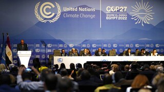 COP27: Ξεκινά η διάσκεψη του ΟΗΕ για το Κλίμα και την υπερθέρμανση του πλανήτη