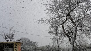 Φλώρινα: Το πρώτο χιόνι στο χιονοδρομικό κέντρο Βίγλας – Πισοδερίου