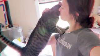 Πώς οι γάτες δείχνουν την αγάπη τους στους ανθρώπους με κουτουλιές