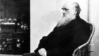 Σαν σήμερα: 24 Νοεμβρίου - Τι μας είπε τελικά ο Δαρβίνος και γιατί έχει τόση σημασία;