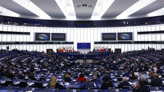 Ευρωπαϊκό Κοινοβούλιο: Ανησυχία για την επιχείρηση της Τουρκίας «Γαμψό Ξίφος»