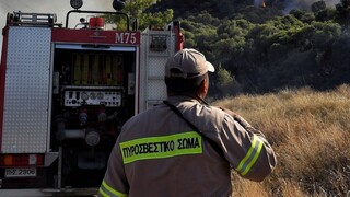 Φωτιά σε χαμηλή βλάστηση στην Αίγινα - Στο σημείο ισχυρές δυνάμεις της Πυροσβεστικής