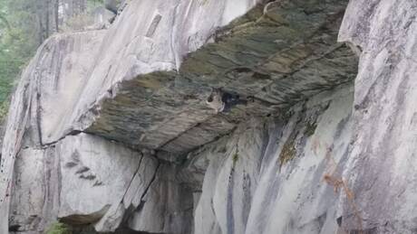 Καναδάς: Ορειβάτης επιχειρεί επικίνδυνη αναρρίχηση σε απόκρημνο βουνό