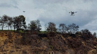 Πιλοτική τεχνική αναδάσωσης μέσω drone για πρώτη φορά στην Ελλάδα