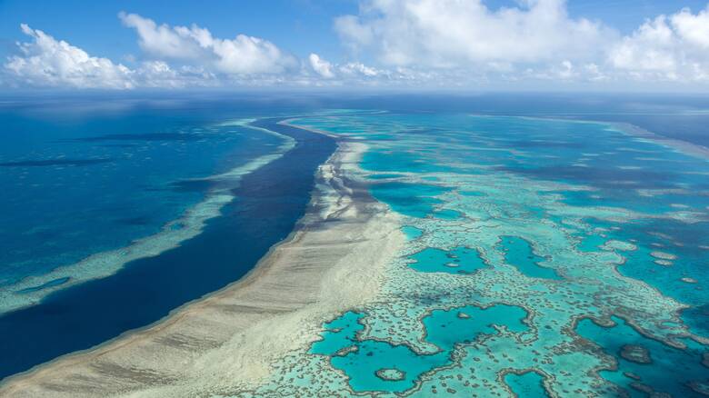 SOS για τον Μεγάλο Κοραλλιογενή Ύφαλο λόγω κλιματικής κρίσης