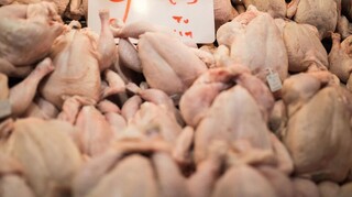 Προσοχή: Ο ΕΦΕΤ ανακαλεί κατεψυγμένο ρολό κοτόπουλο