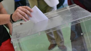 Εκλογές 2023 - Βορίδης: Η εγγραφή των ομογενών να γίνει πριν από την προκύρηξη των εκλογών