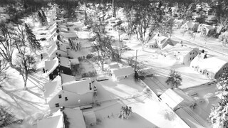 «Χιονοθύελλα του αιώνα» σαρώνει τις ΗΠΑ: Δεκάδες νεκροί θαμμένοι στο χιόνι - Η επόμενη μέρα