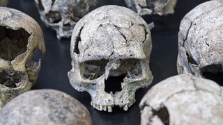 Γερμανία: Οι άνθρωποι στην Λίθινη Εποχή φορούσαν γούνες 300.000 χρόνια πριν από εμάς