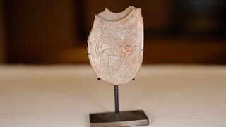 Φιλντισένιο κουτάλι 3.000 ετών επέστρεψαν οι ΗΠΑ στην Παλαιστινιακή Αρχή