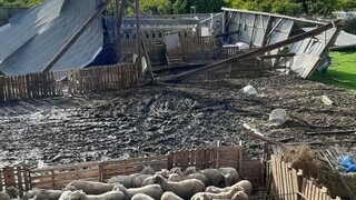 Ανεμοστόβιλος χτύπησε το Μεσολόγγι: Νεκρά ζώα και ζημιές σε κτηνοτροφική μονάδα