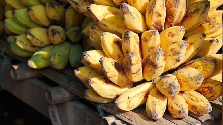 Πειραιάς: Εντοπίστηκαν 120 κιλά κοκαΐνης σε κοντέινερ με μπανάνες - Πάνω από 5 εκατ. ευρώ η αξία