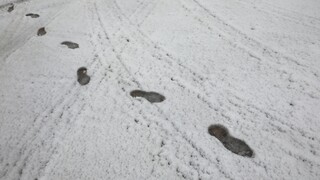 Έκτακτο δελτίο επικίνδυνων καιρικών φαινομένων: Έρχεται η Μπάρμπαρα και φέρνει χιόνια και παγετό