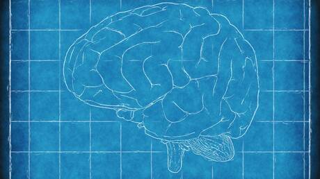 Η εμφύτευση ιστών ανθρώπινου εγκεφάλου σε αρουραίους, ελπίδα για νέες θεραπείες