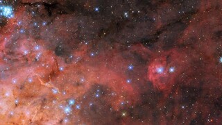 Στιγμιότυπο του νεφελώματος «Ταραντούλα» απαθανάτισε το διαστημικό τηλεσκόπιο Hubble της NASA