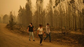Χιλή: Στους 24 οι νεκροί από τις δασικές πυρκαγιές - Περισσότεροι από 1.000 οι τραυματίες