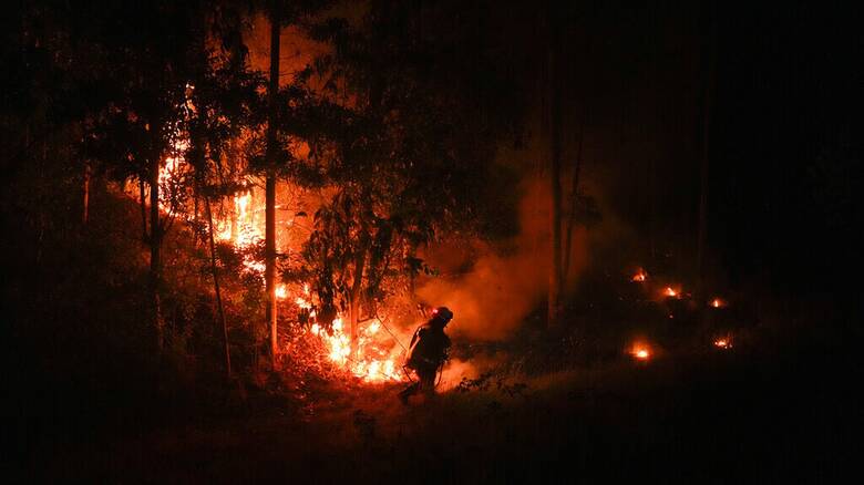 Χιλή: Ανεξέλεγκτη η κατάσταση με τις πυρκαγιές - 26 νεκροί, 3.000 άστεγοι