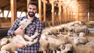 Η σύγχρονη κτηνοτροφία και ο δρόμος προς το βιώσιμο μέλλον