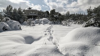 Κακοκαιρία Μπάρμπαρα: Το περισσότερο χιόνι τα τελευταία 19 χρόνια - Έως τους -14 η θερμοκρασία