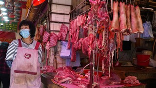 Χόνγκ Κόνγκ: Έφοδος των αρχών σε κατάστημα που πωλούσε κρέας γάτας και σκύλου
