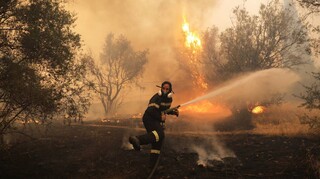 Φωτιά στη Λακωνία: Μεγάλη επιχείρηση από την Πυροσβεστική στον Δήμο Ευρώτα