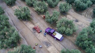 Αγροτικό πετρέλαιο και αποζημιώσεις: Τα δύο μέτρα για τη στήριξη των αγροτών