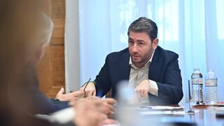 Ανδρουλάκης: Το δημογραφικό είναι το μεγαλύτερο εθνικό θέμα - Οι προτάσεις του ΠΑΣΟΚ