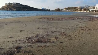 Νάξος: Η άμπωτη «εξαφάνισε» την παραλία Αγίου Γεωργίου