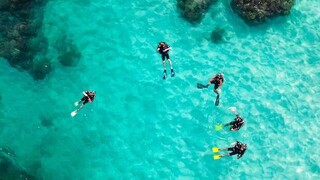 Αλόννησος: Κορυφαίος καταδυτικός προορισμός του κόσμου σύμφωνα με το National Geographic