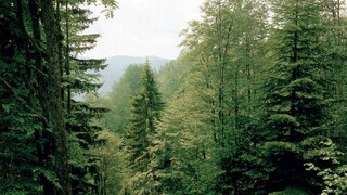 Natura 2000: Δίμηνη παράταση στη διαβούλευση για τις Ειδικές Περιβαλλοντικές μελέτες