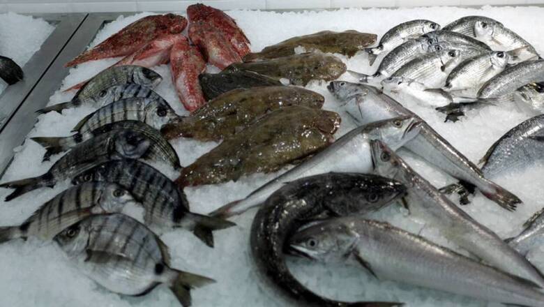 Καθαρά Δευτέρα: Οδηγίες του ΕΟΔΥ για ασφαλή κατανάλωση θαλασσινών και οστρακοειδών