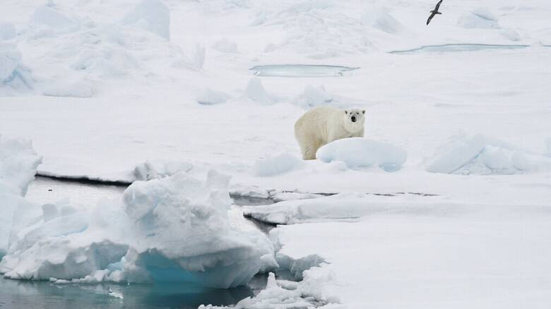 Ανησυχητική μελέτη: Μειώθηκε κατά το ήμισυ το πάχος του θαλάσσιου πάγου της Αρκτικής