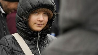 «Ελεύθερο» στην Τούνμπεργκ για αγωγή στο σουηδικό κράτος σχετικά με το κλίμα