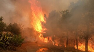 Ακραίες πυρκαγιές στην Ελλάδα τα τελευταία 20 χρόνια: Στάχτη πάνω από 2,8 εκατ. στρέμματα