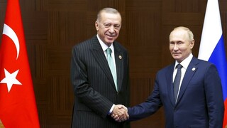 Τηλεφωνική επικοινωνία Πούτιν - Ερντογάν για τη συμφωνία για τα σιτηρά