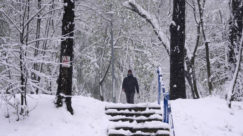 Απίστευτη χιονόπτωση στη Σερβία - Στα λευκά σχεδόν όλη η χώρα (pics&vid)