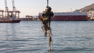 Ιχθυόσκαλα Κερατσινίου: Xιλιάδες κιλά σκουπιδιών απομακρύνθηκαν από τη θάλασσα