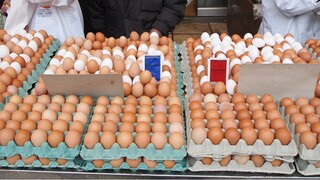 Στην «τσιμπίδα» του ΣΔΟΕ 300.000 αυγά από Βουλγαρία - Προορίζονταν για Γλυφάδα, Ρέθυμνο, Κω