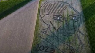 Ένα διαφορετικό πορτρέτο του Πικάσο - Ζωγραφισμένο με.. τρακτέρ σε χωράφι