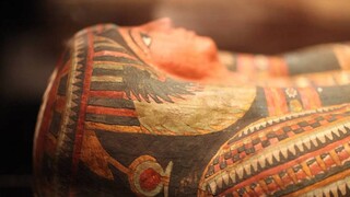 Σπουδαία ανακάλυψη: Οδοντικά σφραγίσματα και γυναίκες γιατροί στην αρχαία Αίγυπτο