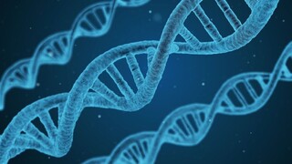 Ερευνητικό πρόγραμμα ανέλυσε το γονιδίωμα 240 διαφορετικών θηλαστικών μεταξύ τους και το ανθρώπινο