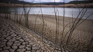 Μεγάλη γεωργική καταστροφή από την ξηρασία στην Ισπανία