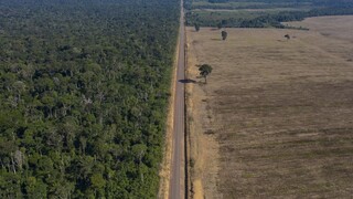 Βραζιλία: Κατά 68% μειώθηκε τον Απρίλιο η αποψίλωση του τροπικού δάσους του Αμαζονίου