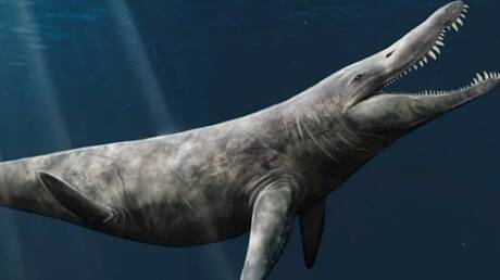 Το θαλάσσιο ερπετό – γίγας που ζούσε πριν από 152 εκατ. χρόνια