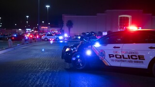 Τρίχρονο παιδί στις ΗΠΑ πυροβόλησε και τραυμάτισε δύο άτομα