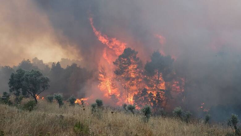Πυρκαγιά στα Καλύβια: Διακοπή της κυκλοφορίας στη Λεωφόρο Αναβύσσου
